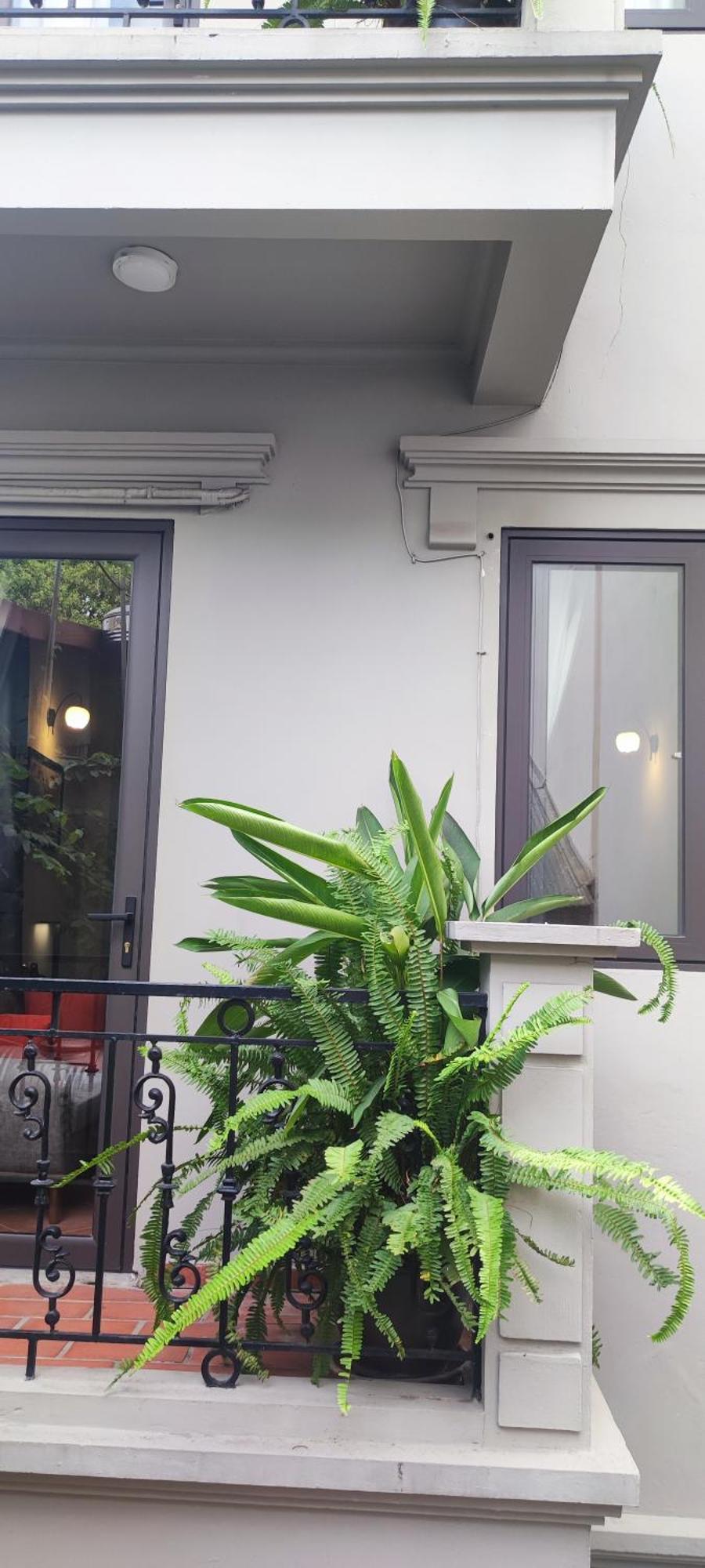 T Home Balcony Homestay Hanoï Extérieur photo